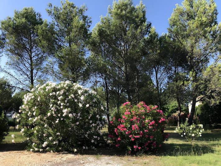 Location de vacances pour 6 personnes, avec jardin à Saint-Julien-de-Cassagnas - 4