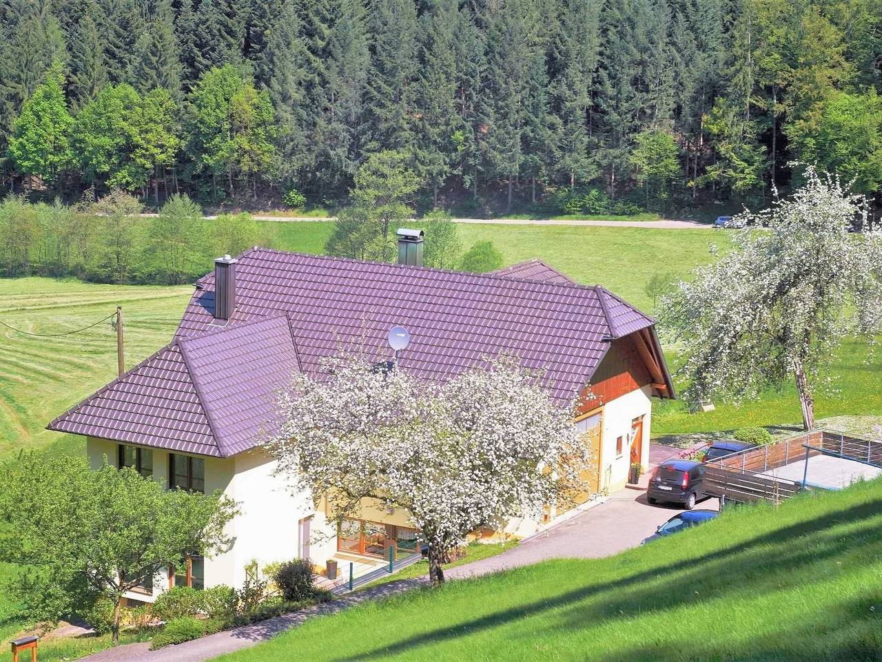 Ganze Ferienwohnung, Ferienwohnung In der Ruhl - Neue Ferienwohnung für 1-4 Personen, ca. 60qm in Schuttertal, Mittlerer Schwarzwald