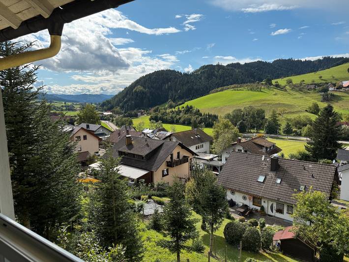 Ferienwohnung für 4 Personen in Oberharmersbach