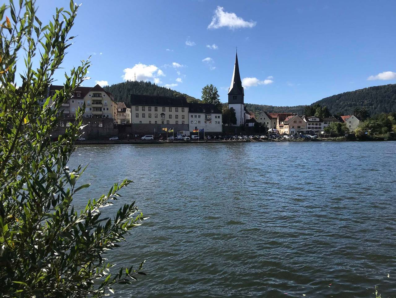Ganze Ferienwohnung, Ferienwohnung Hantmann in Neckargemünd, Kurpfalz