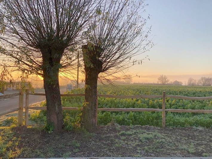 Location de vacances pour 2 personnes, avec vue ainsi que sauna et jardin, adapté aux familles dans Neuve-Église - 3