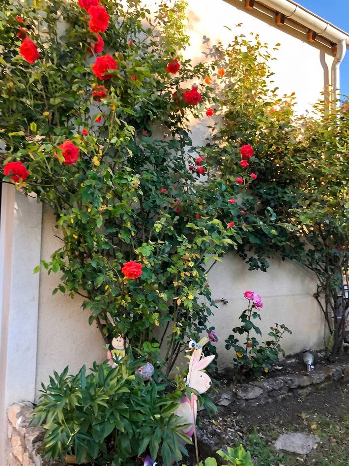Studio pour 4 personnes, avec terrasse dans Seine-et-Marne - 3