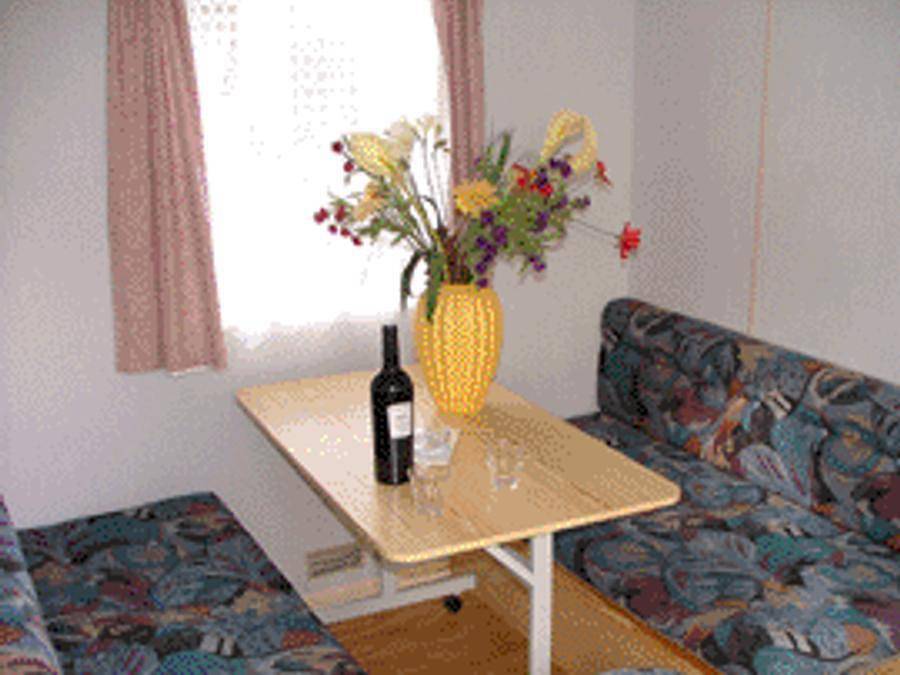 Camping Le Plan d'eau St Charles - Chalet 5 personnes - Bois avec terrasse in Damiatte, Région de Castres