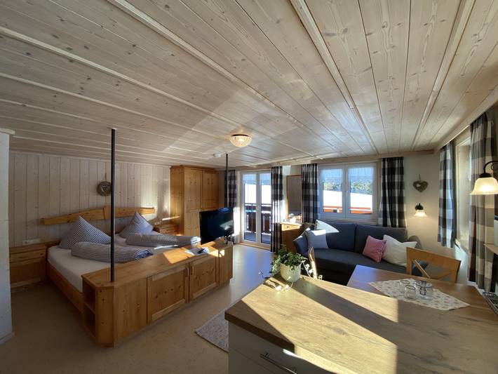 Ganze Ferienwohnung, Ferienwohnung 6 - Wohn-Schlafraum mit Balkon in Balderschwang, Bayerisch Schwaben