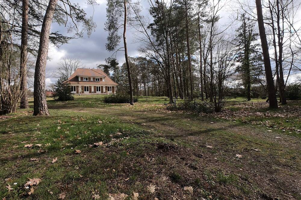 Maison et Parc Arboré à Louer Dans la Sologne des Rivières in La Ferté-Imbault, Sologne