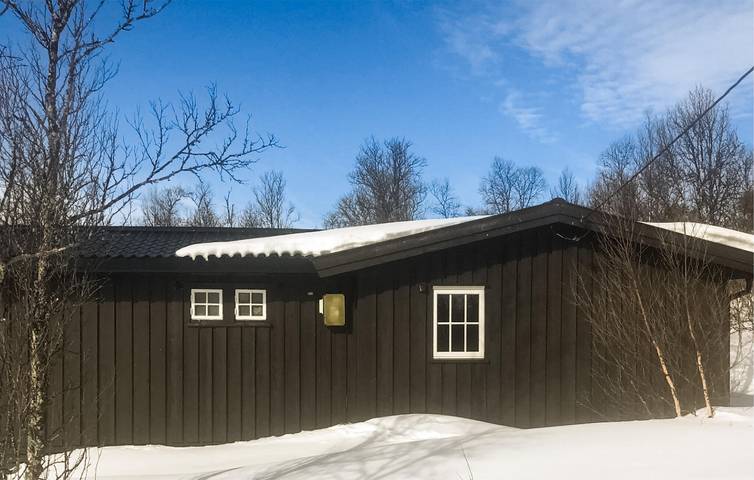 Ferienhaus für 6 Personen mit Terrasse in Nore og Uvdal