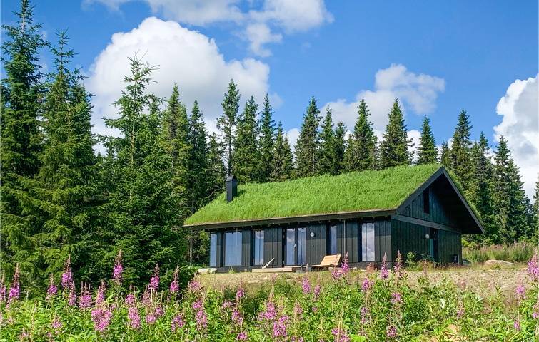 Ferienhaus für 8 Personen in Øyer