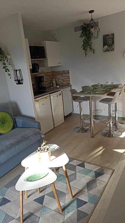 Gîte pour 4 personnes, avec piscine et terrasse dans Office De Tourisme Cannes La Bocca - 2