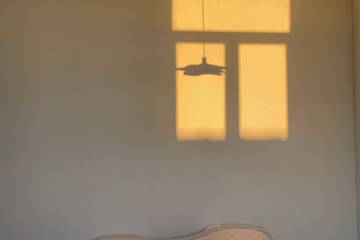 Maison De Vacances pour 14 Personnes dans Wavre, Province du Brabant wallon, Photo 2