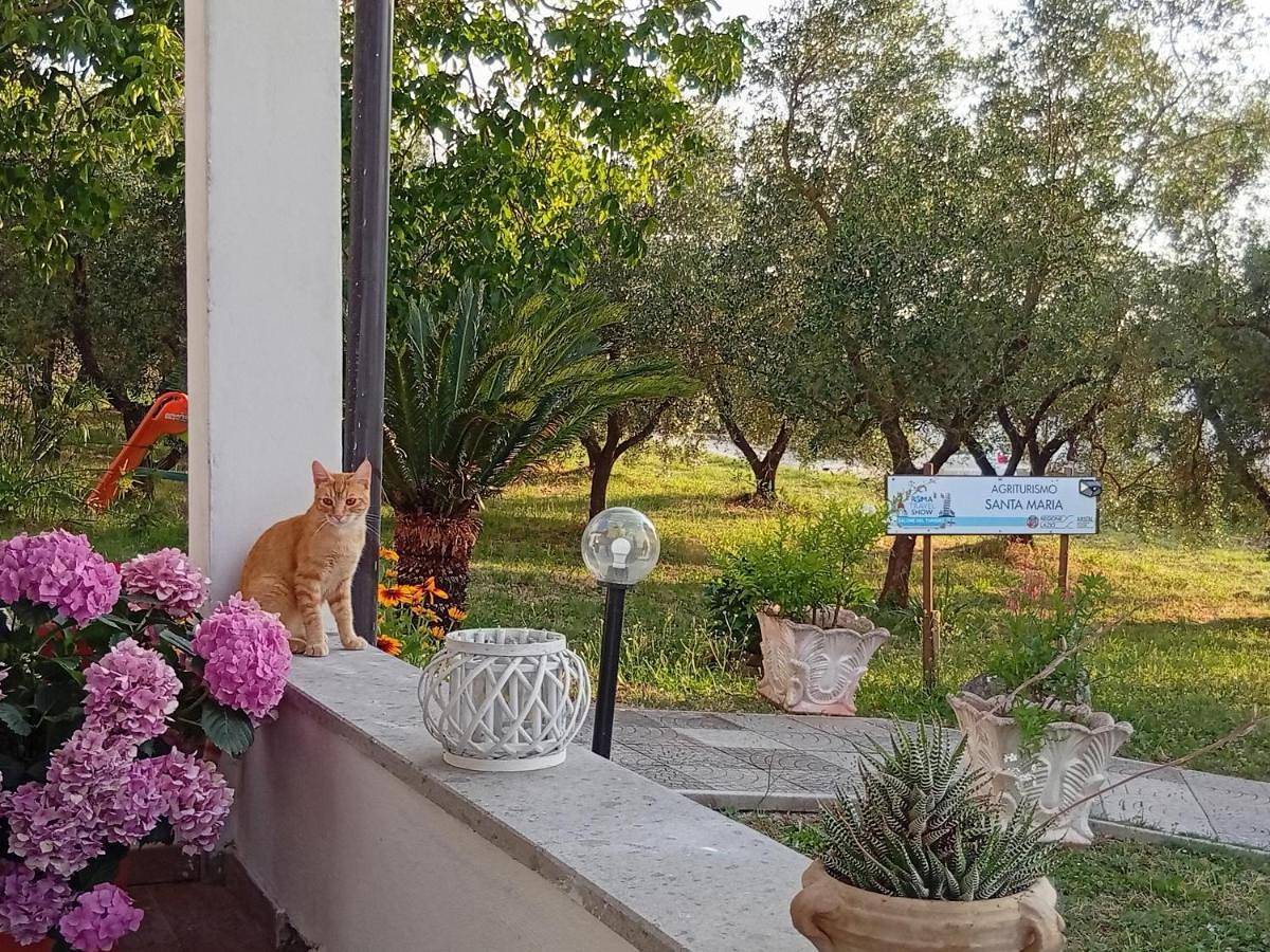 Double Room in Marta, Lago di Bolsena