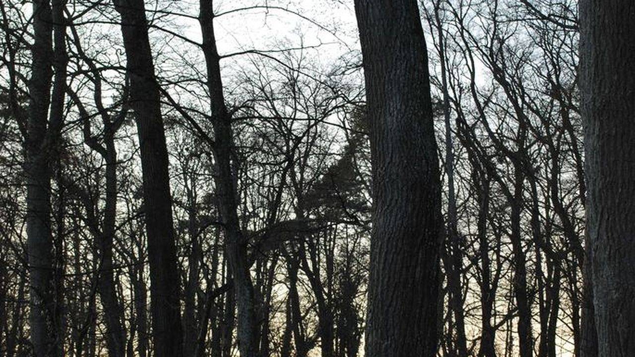 Ganze Ferienwohnung, Ferienwohnung für 4 Personen in Friedrichshafen in Friedrichshafen, Region Bodensee-Oberschwaben