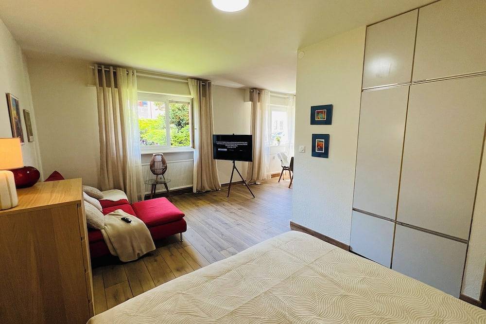 Ganze Wohnung, Modern Loft |Basel |Airport|Messe in Sankt Ludwig, Mülhausen und Umgebung