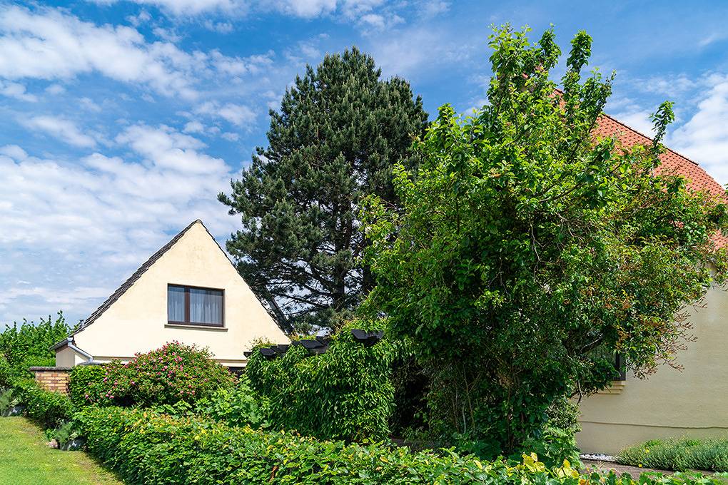 Ferienhaus Lieder in Bergen auf Rügen, Bergen auf Rügen und Umgebung