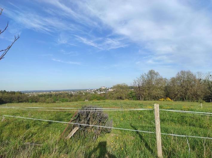Chambre d’hôte pour 2 personnes, avec vue et jardin à Saumur - 4