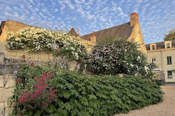 Gîte pour 8 personnes, avec jardin à Fontevraud-l'Abbaye