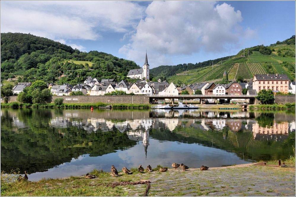 Weingut-Gästehaus Karl Otto Nalbach in Briedel, Traben-Trarbach et ses environs