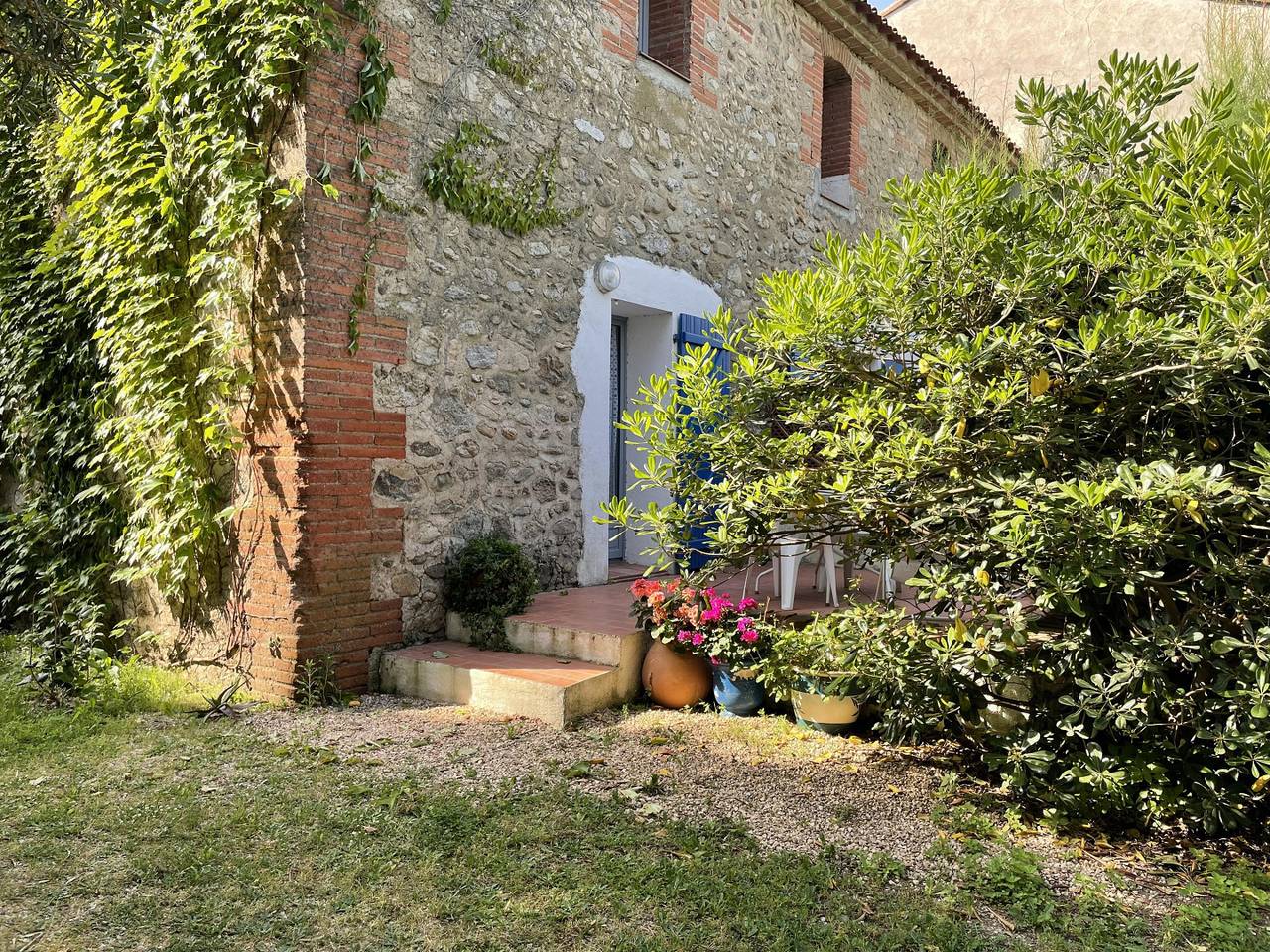 Le thym in Côte Vermeille, Argelès-sur-Mer