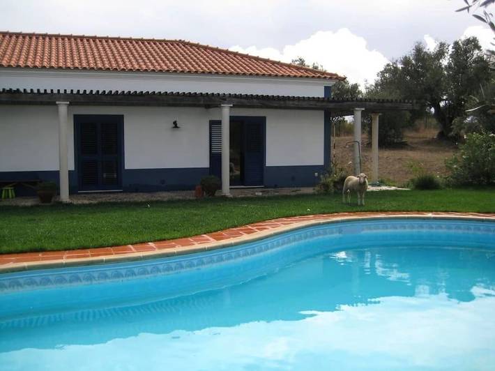 Gîte pour 3 personnes, avec jardin ainsi que vue et piscine à Serpa - 2