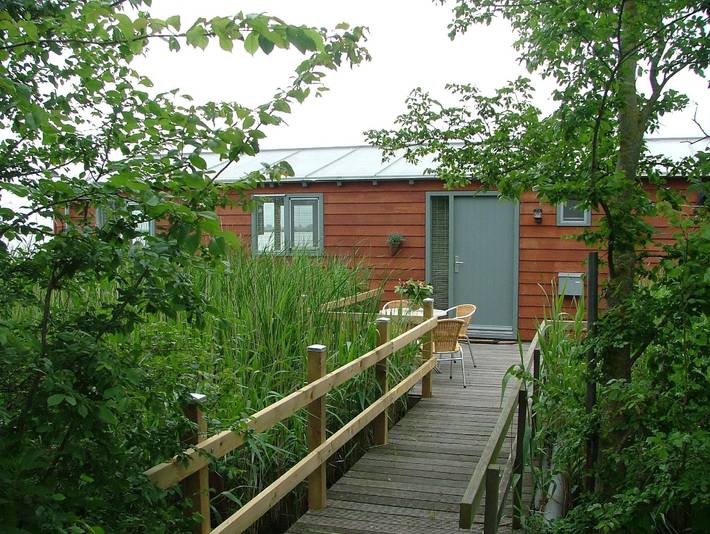 Ferienhaus für 4 Personen, mit Terrasse in Friesland - 2