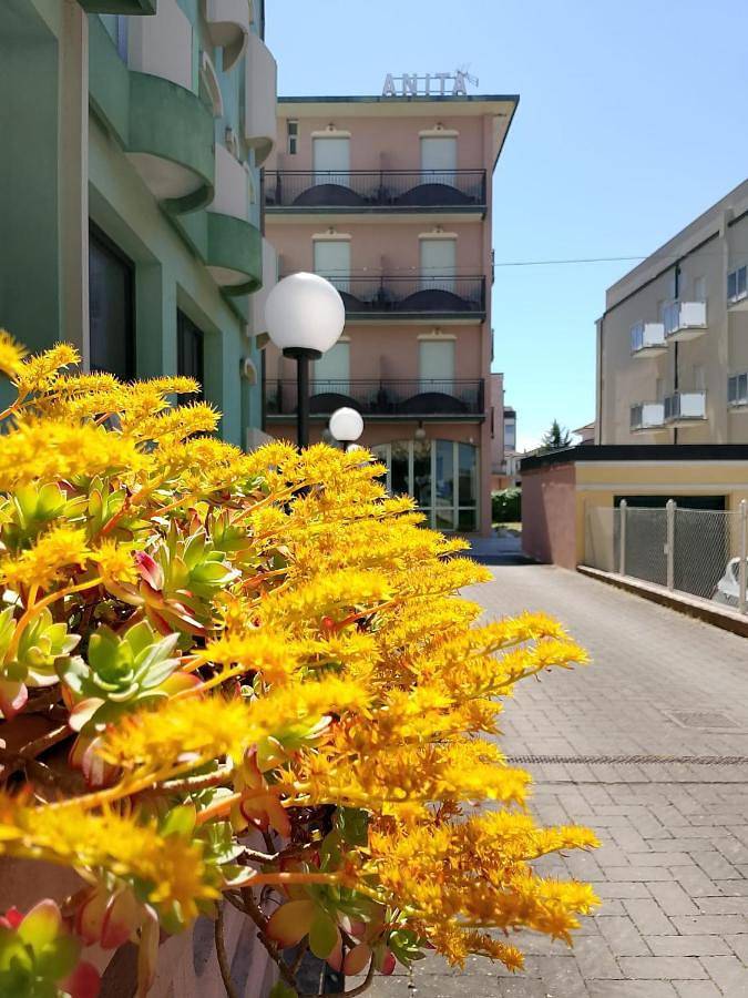 Hotel para 3 personas, con jardín y terraza, Se admiten mascotas - 1