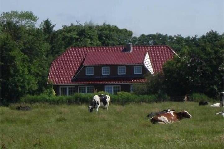 Ferienwohnung für 6 Personen, mit Terrasse und Garten in Lütetsburg