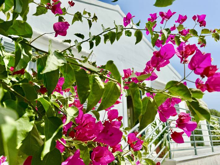 Location de vacances pour 5 personnes, avec jardin dans Acharavi - 3