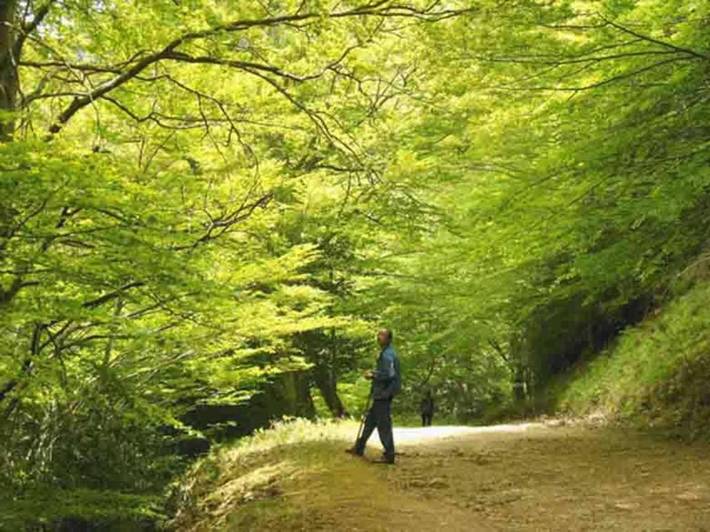 Albergue para 2 personas, con Balcón y Vistas en Parc Natural de la Tinença de Benifassà