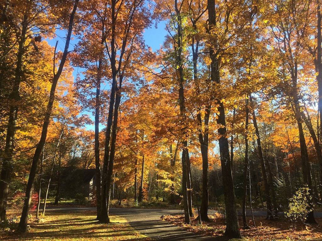 Vacation Home for 10 Guests in Stowe Mountain, Vermont