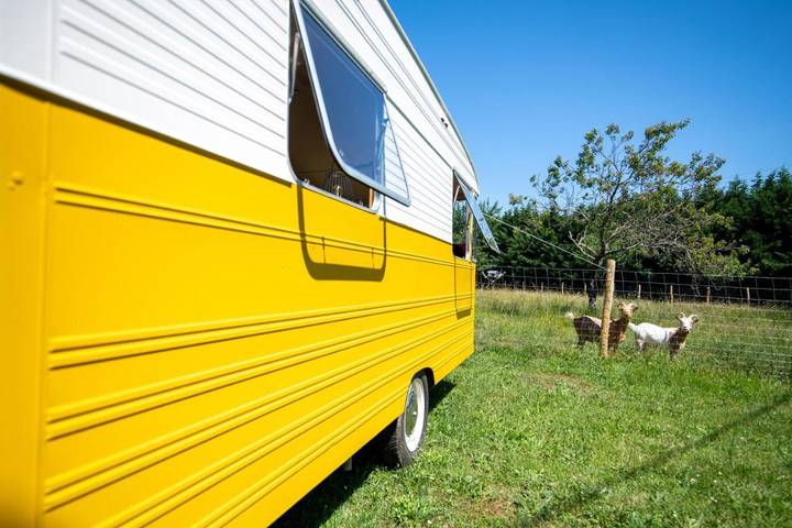 Chambre d’hôte pour 4 personnes, avec jardin ainsi que piscine et terrasse à Rouffignac-Saint-Cernin-de-Reilhac - 3