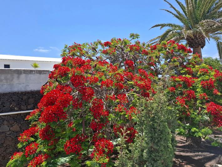 Holiday apartment for 2 people, with pool and balcony as well as ocean view, child-friendly in Puerto del Carmen Old Town