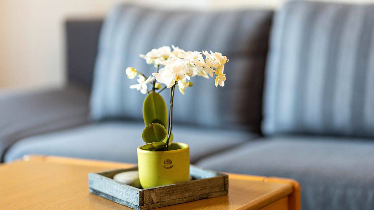 Ganze Ferienwohnung, Ferienwohnung für 2 Personen (30 m²) in Schmallenberg in Schmallenberg, Hochsauerlandkreis