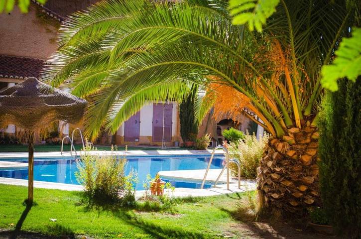 Casa rural para 6 personas, con jardín además de vistas y piscina, Se admiten mascotas en Comarca de Guadix - 4