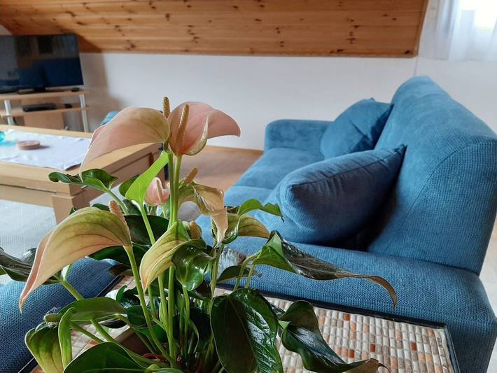 Ferienwohnung für 4 Personen, mit Balkon im Sauerland - 2