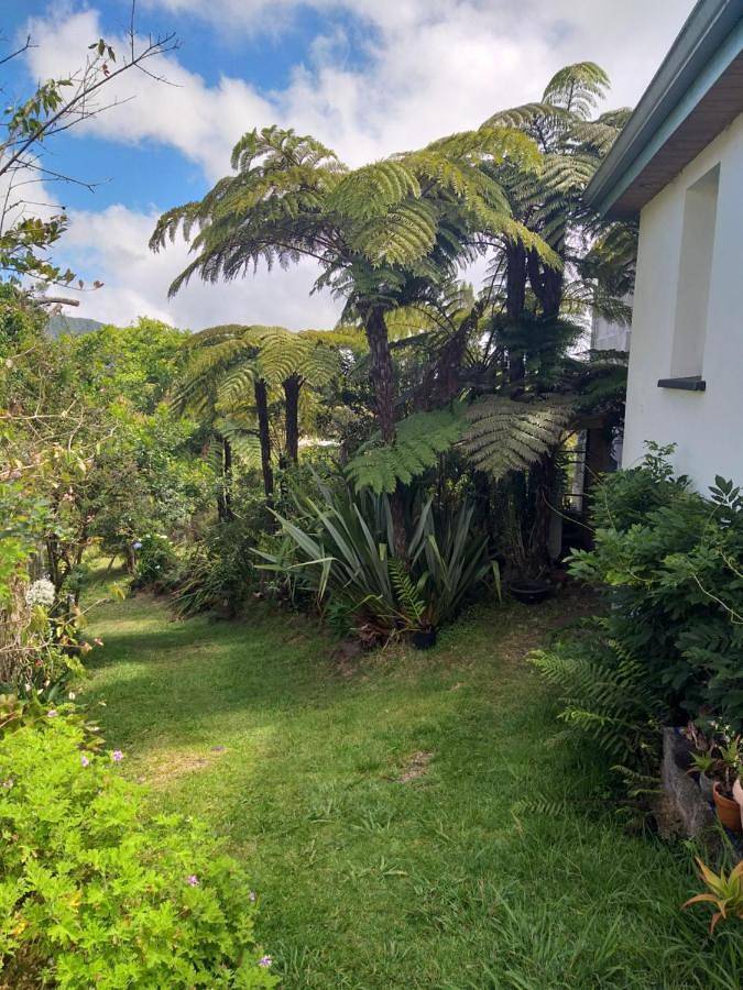 Location de vacances pour 2 personnes, avec vue et jardin à La Plaine-des-Palmistes - 3