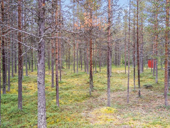 Elnan tupa in Lappland