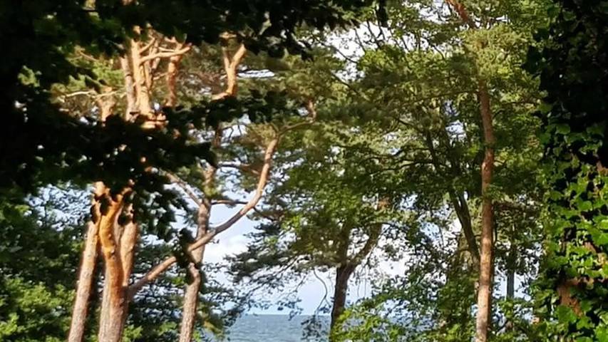 Ferienwohnung für 4 Personen, mit Garten auf Usedom - 3