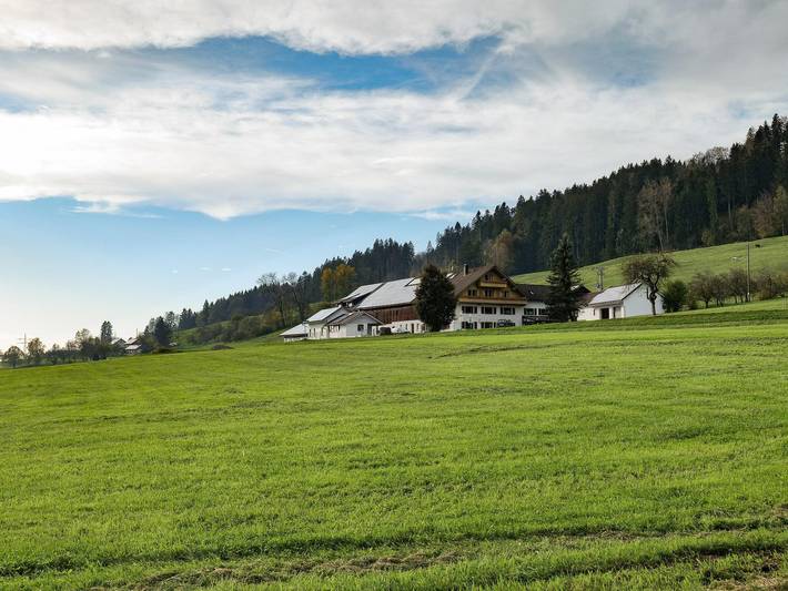 Hotel für 2 Personen, mit Terrasse in Isny im Allgäu - 3