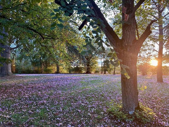 Location de vacances pour 7 personnes, avec piscine ainsi que jardin et jacuzzi à Saint-Colomb-de-Lauzun - 3