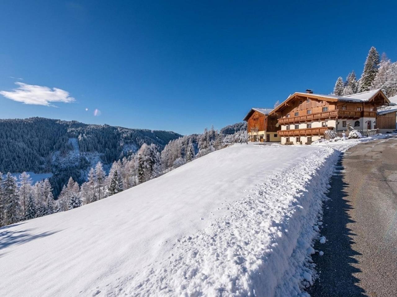 Hel lejlighed, Large holiday apartment on the mountain in Wagrain, Ski Amadé