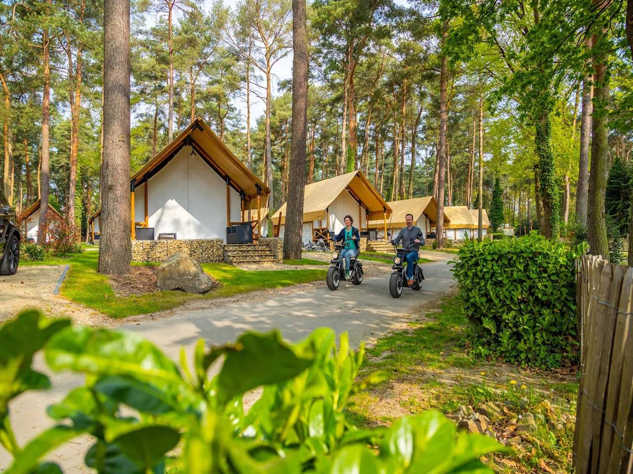 Fijne tentlodge met badkamer, Maastricht op 16 km. in Zutendaal, Hasselt en omgeving
