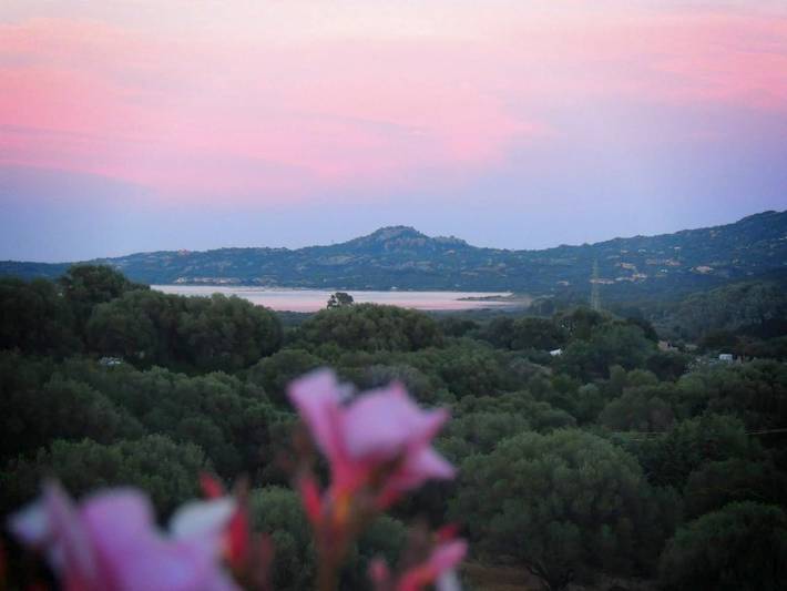 Bungalow per 2 persone, con Terrazza e Giardino nonché Panorama ad Olbia