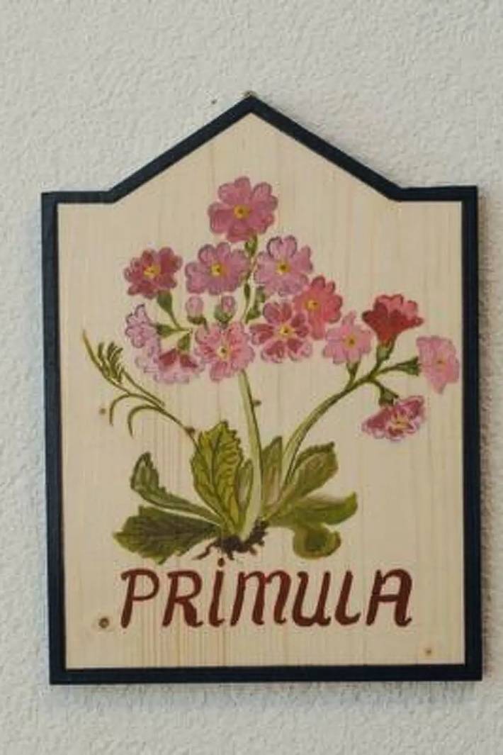 Vakantiewoning voor 4 personen, met balkon in Samnaun