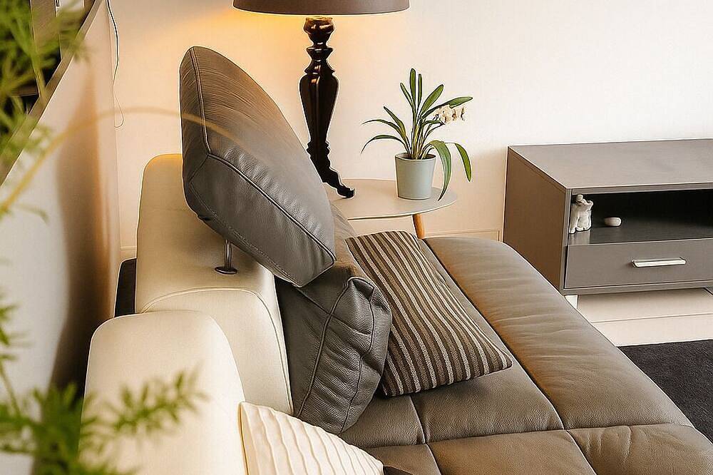 Exceptional villa - Ev terminal - Cinematic ambience - Parks/beaches/spa resorts in Marin, Thonon-les-Bains region