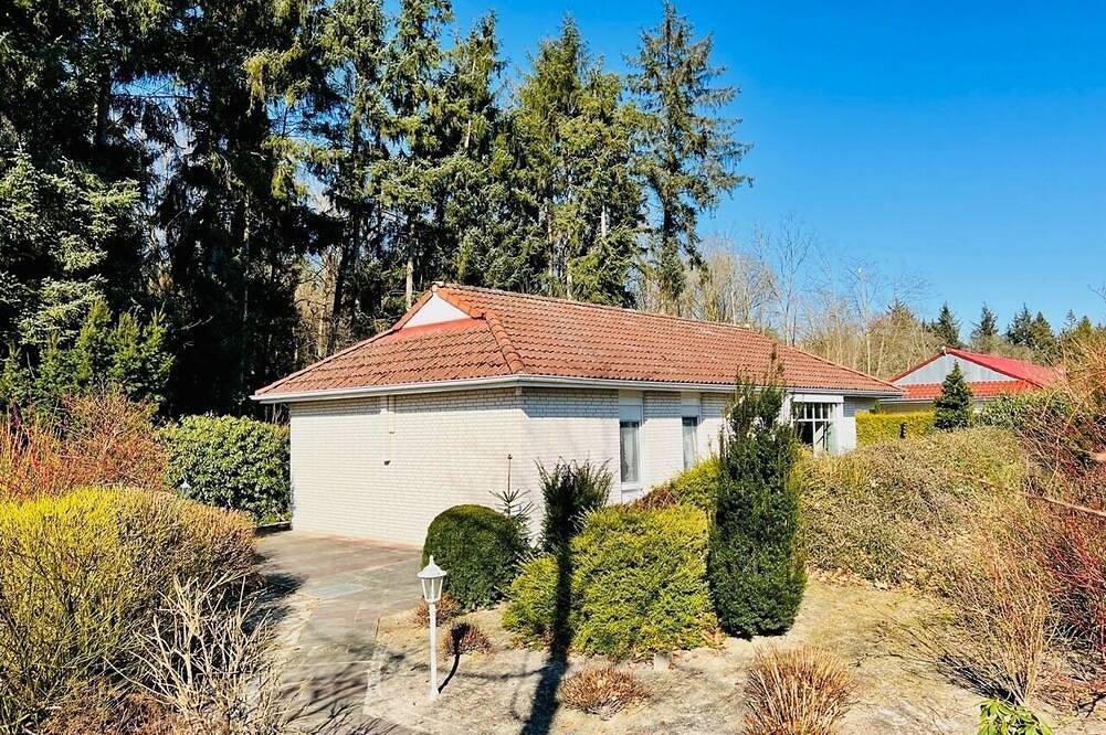Ferienhaus für 6 Gäste mit 80m² in Haren (267402) in Schloss Dankern, Haren (Ems)