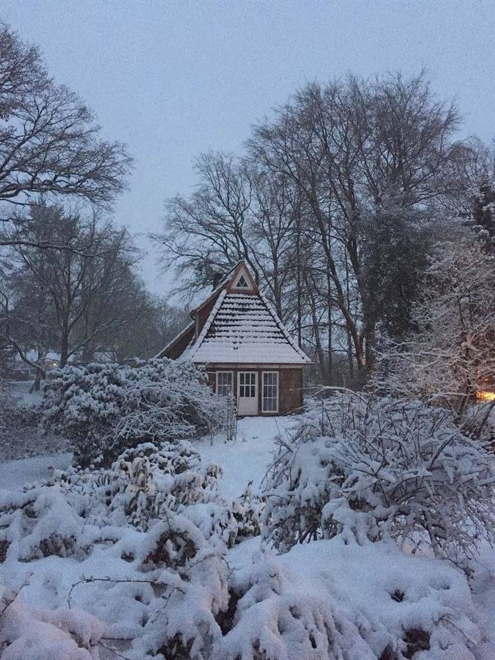 Ferienhaus für 4 Personen, mit Terrasse und Garten in der Lüneburger Heide - 3