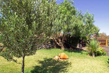 Casa Rural para 2 Personas en Valverde, El Hierro, Foto 3
