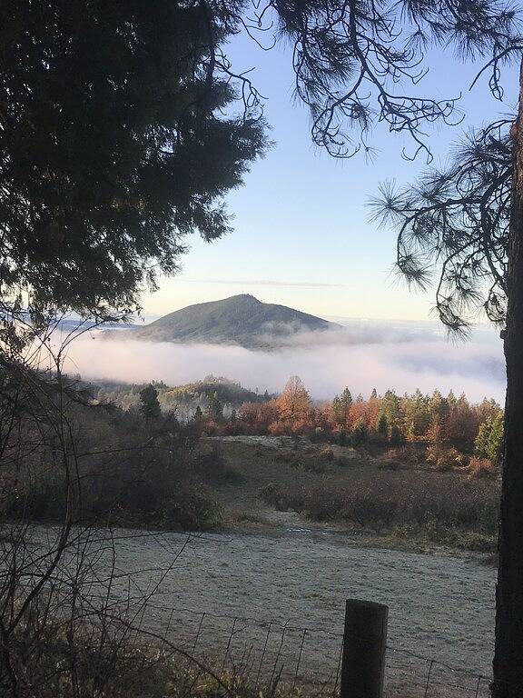The Terrace House, country living. in Shasta County