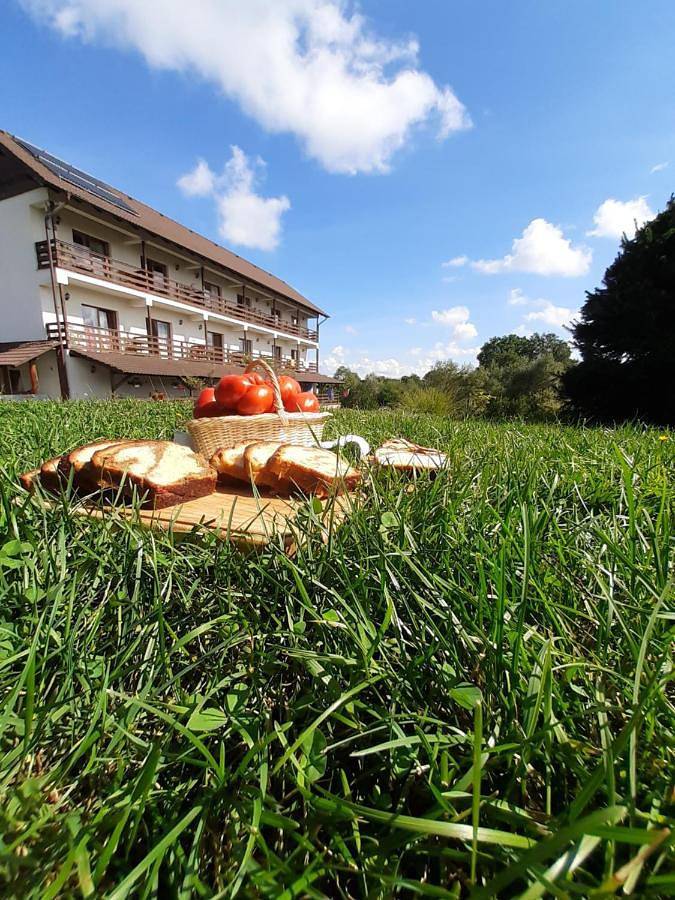 Maison d’hôte pour 4 personnes, avec Balcon et Terrasse ainsi que Jardin et Vue sur le lac dans Porumbacu de Sus