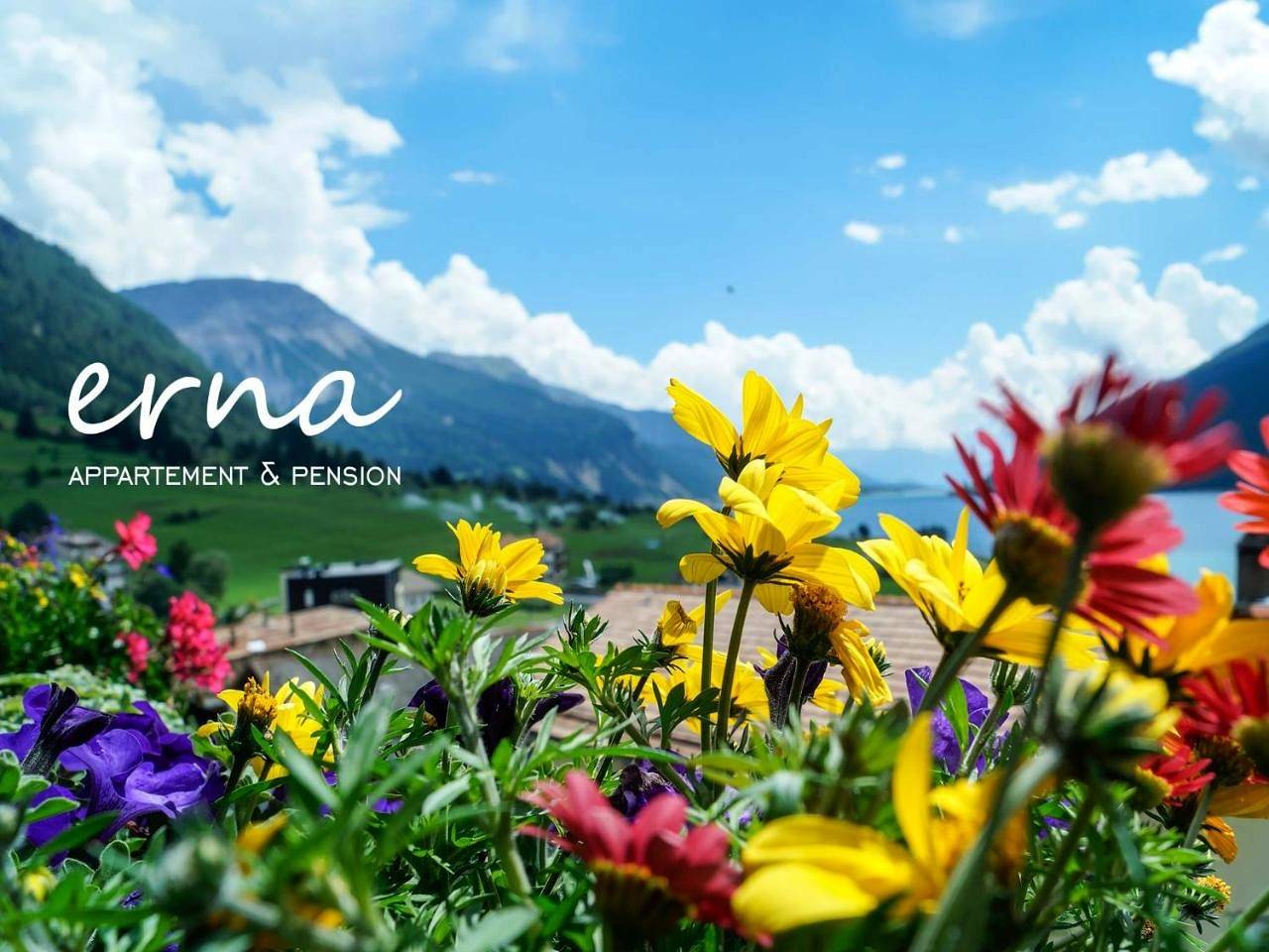 Pension Apartment Erna in Nauderer Berge, Graun