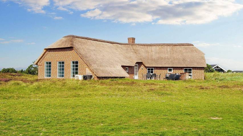 Ferieudlejning for 13 personer, med sauna og jacuzzi såvel som pool og terrasse, husdyr tilladt ved Vestkysten af Danmark